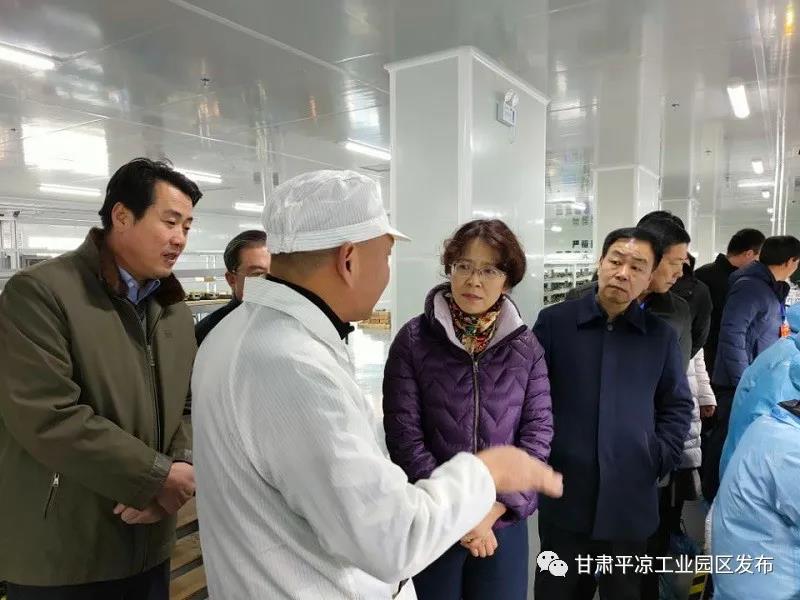省市人大代表来开云登陆入口工业园区视察(图2)