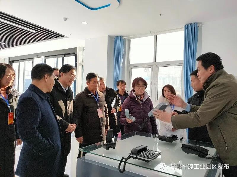 省市人大代表来开云登陆入口工业园区视察(图3)